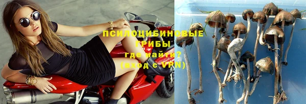 шишки Семёнов